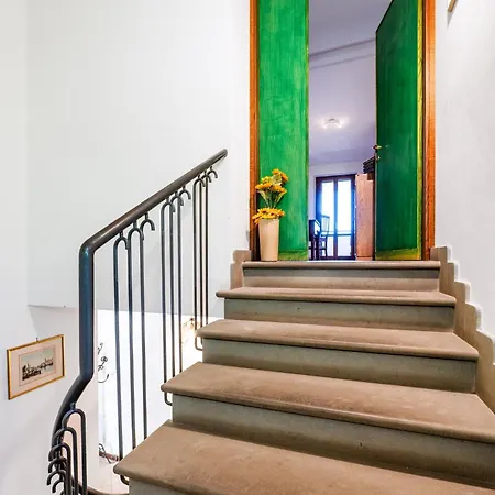 Guesthost - Bright With View