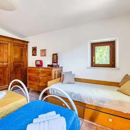 Guesthost - Bright With View